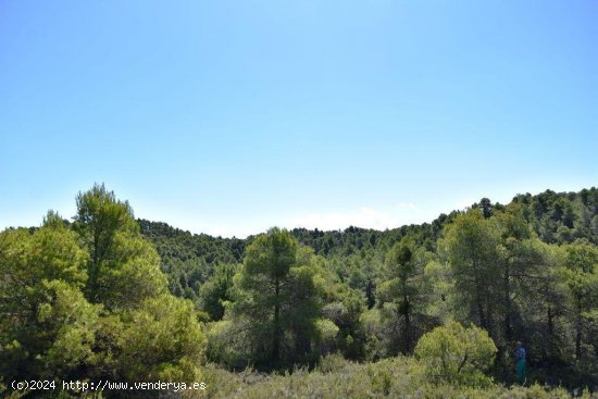 Finca en venta en Valderrobres (Teruel)