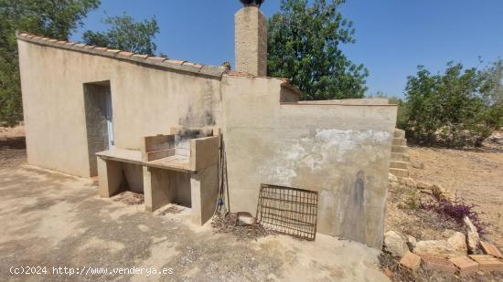 Oportunidad Única en L'Ampolla: Vistas Espectaculares al Mar, Montaña y Delta del Ebro - TARRAGONA