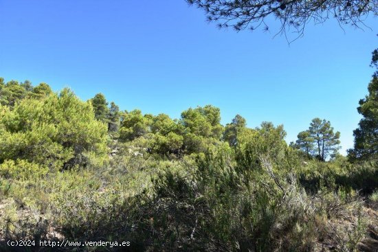 Finca en venta en Valderrobres (Teruel)