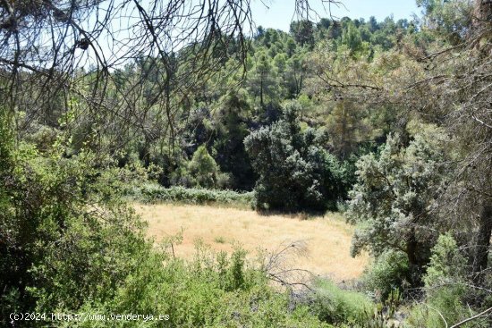 Finca en venta en Valderrobres (Teruel)