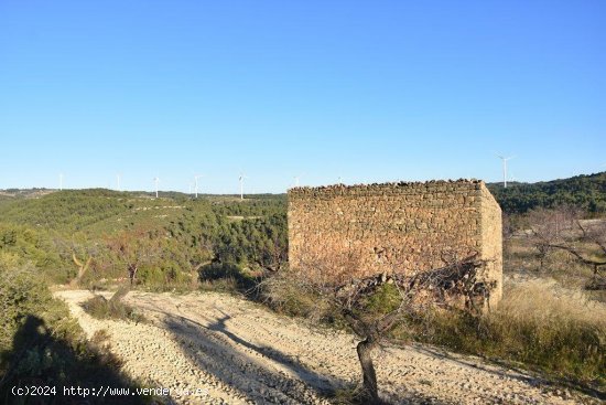 Finca en venta en Caseres (Tarragona)