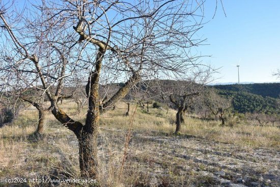 Finca en venta en Caseres (Tarragona)