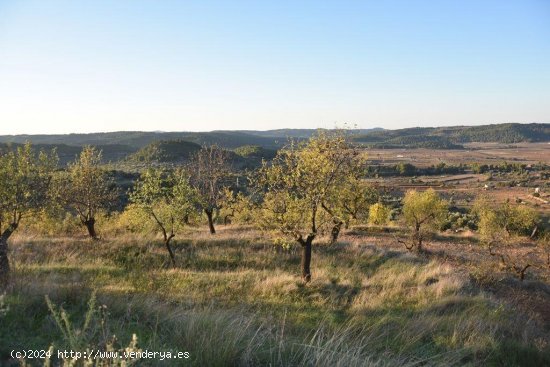 Finca en venta en Caseres (Tarragona)