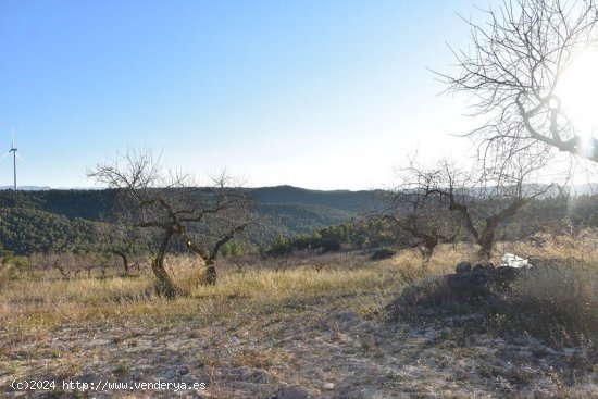 Finca en venta en Caseres (Tarragona)