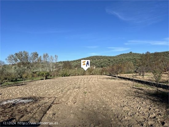 Villa en venta en Castillo de Locubín (Jaén)