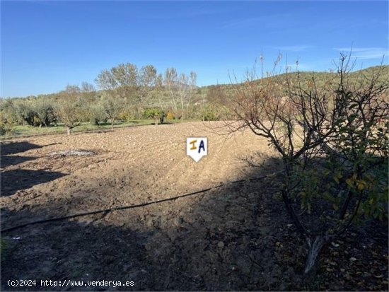 Villa en venta en Castillo de Locubín (Jaén)