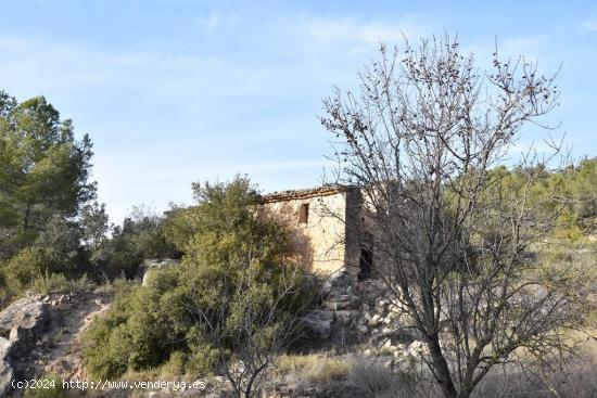 Se Vende en Arens de Lledo - TERUEL