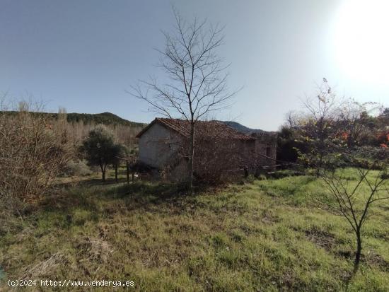 Maset en el río - TERUEL