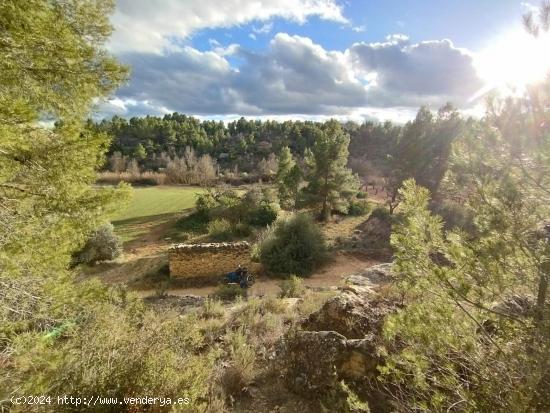 Maset en la Fresneda - TERUEL