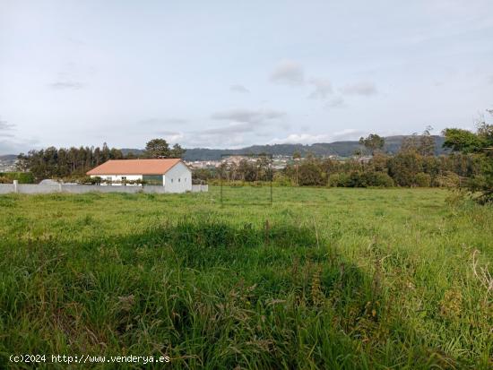  FINCA EDIFICABLE EN LAGO-VALDOVIÑO - A CORUÑA 