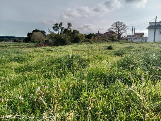 FINCA EDIFICABLE EN LAGO-VALDOVIÑO - A CORUÑA