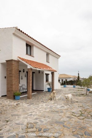 Villa en venta en Mijas (Málaga)