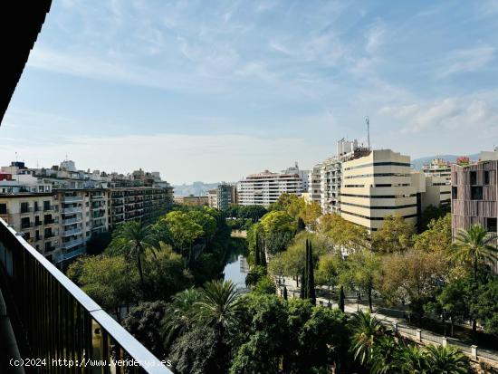  Se Alquila en Palma de Mallorca - BALEARES 