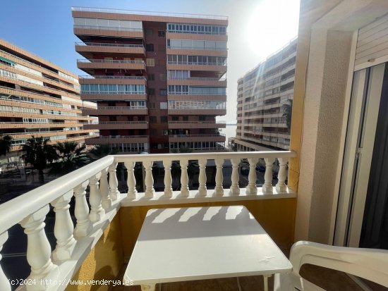  Apartamento en venta en Torrevieja (Alicante) 