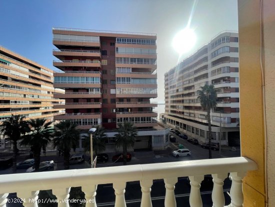 Apartamento en venta en Torrevieja (Alicante)