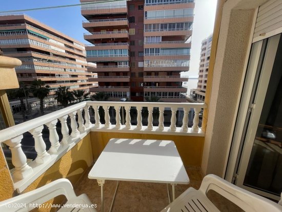 Apartamento en venta en Torrevieja (Alicante)