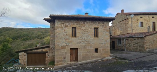 Casa en venta en Valderredible (Cantabria)