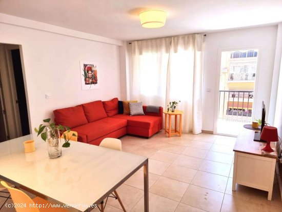  Apartamento en alquiler en Málaga (Málaga) 