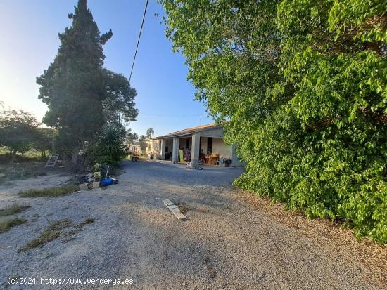  Finca rústica de en la Hoya, Elche con 11.000 metros de parcela. - ALICANTE 