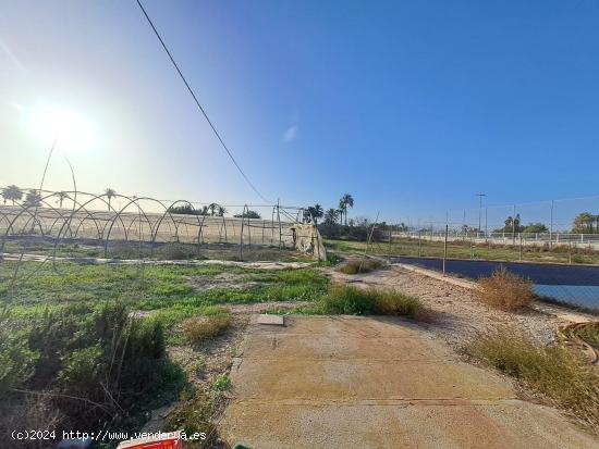 Finca rústica de en la Hoya, Elche con 11.000 metros de parcela. - ALICANTE