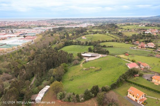 Finca en venta en Gijón (Asturias)