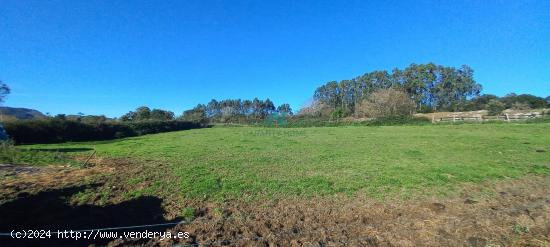 Se vende terreno rústico en Escalante - CANTABRIA