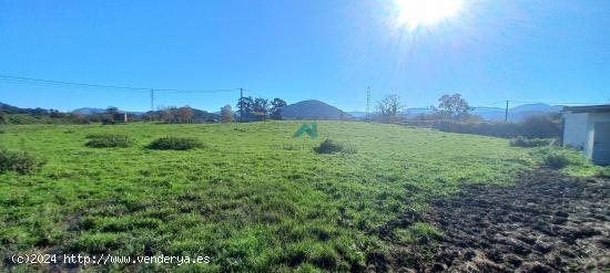 Se vende terreno rústico en Escalante - CANTABRIA