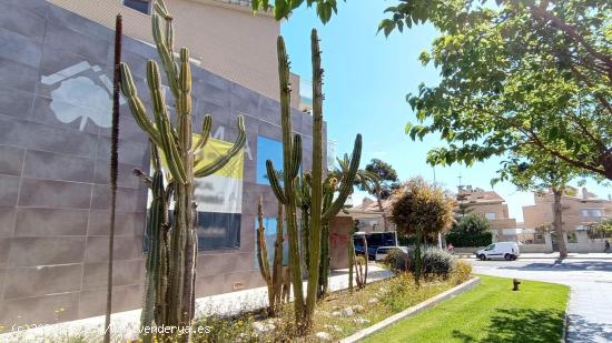 OPORTUNIDAD Local Comercial con amplia fachada y terraza en Avda. Papa Luna de Benicarló. - CASTELL