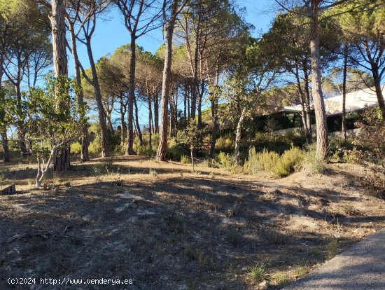 Suelo Urbanizable en venta  en Castell-Platja d Aro - Girona