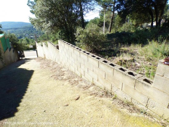 TERRENO URBANO EN CASTELLNOU DE BAGES SEMIPLANO DE 854M2