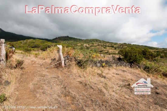 Suelo urbanizable en Venta en Villa De Mazo Santa Cruz de Tenerife