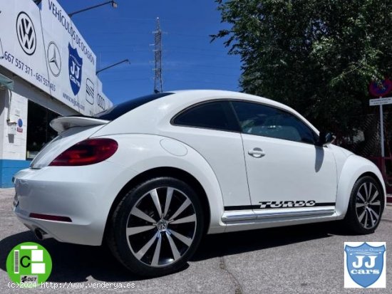 VOLKSWAGEN Beetle en venta en Mejorada del
Campo (Madrid) - Mejorada del
Campo