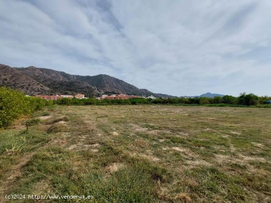 Terreno rustico en Torreagüera - MURCIA