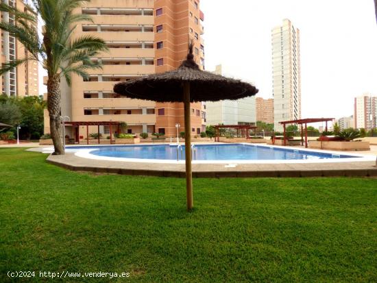 Se Vende en Benidorm - ALICANTE