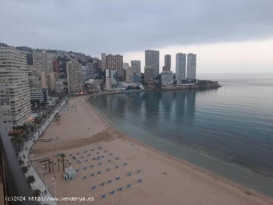  ALQUILER PARA TODO EL AÑO EN PRIMERA LINEA - ALICANTE 