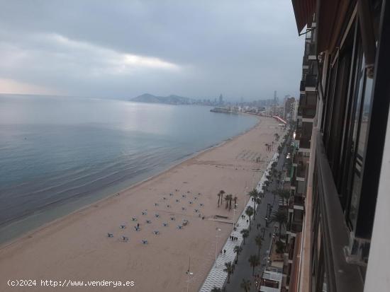 ALQUILER PARA TODO EL AÑO EN PRIMERA LINEA - ALICANTE