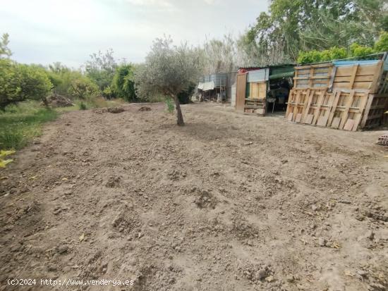 ++En el corazón de la huerta de Aljucer,++ - MURCIA