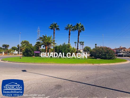  GUADALCACÍN PARCELA RÚSTICA DE 1.007M², PRO INDIVISO. - CADIZ 