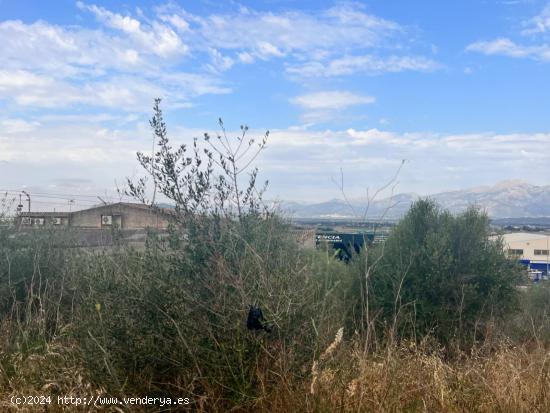 Solar en Muro - BALEARES