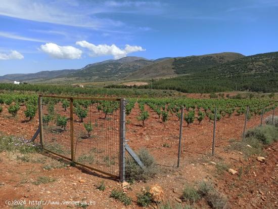 se venden 2 parcelas por separado en alcolea - ALMERIA