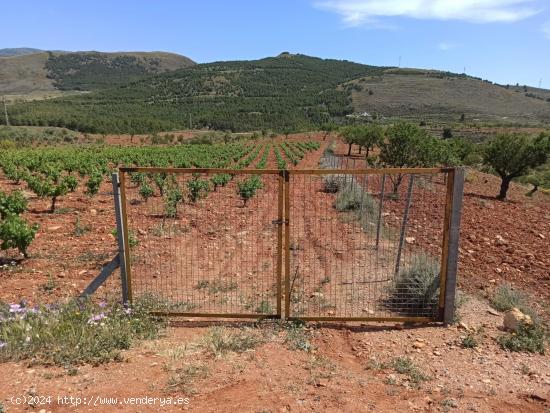 se venden 2 parcelas por separado en alcolea - ALMERIA