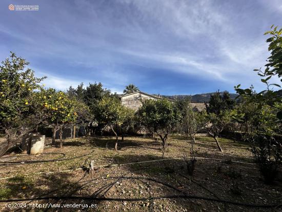 Huerto Con Estanque y Agua en Propiedad - BALEARES