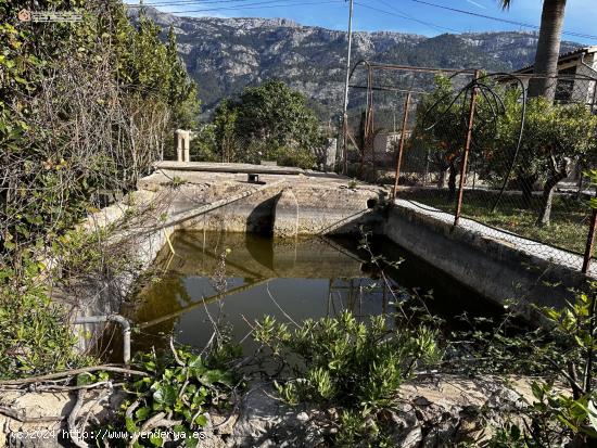 Huerto Con Estanque y Agua en Propiedad - BALEARES