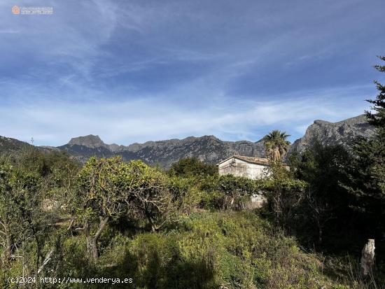 Huerto Con Estanque y Agua en Propiedad - BALEARES