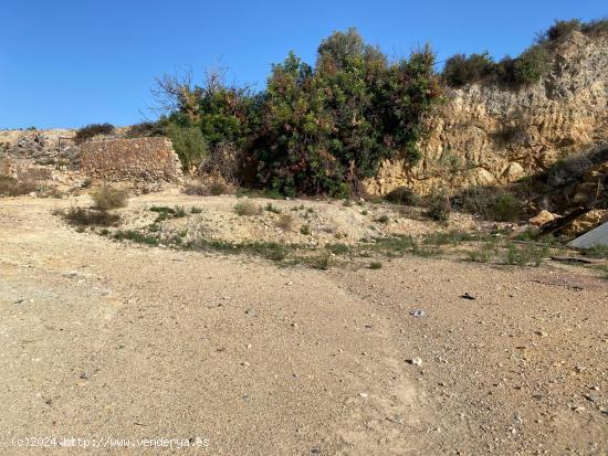  Terreno urbano para edificar en La Cueva (Monteagudo) - MURCIA 