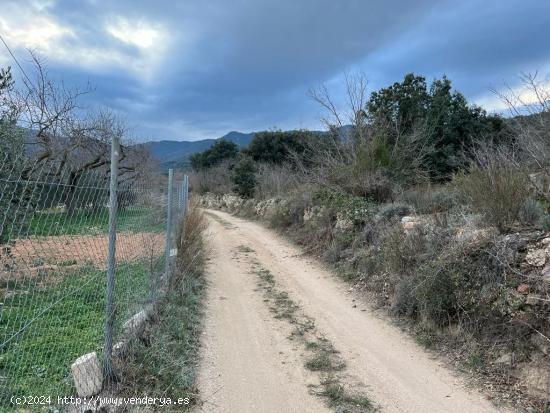 Finca RÚSTICA CON CASETA DE 40 METROS DE HERRAMIENTAS - TARRAGONA