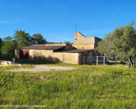  Exclusiva Finca Rústica de 48.805 M2 con antigua Masía de 284 M2, a 7 km de la playa - TARRAGONA 