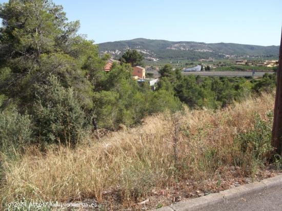 Terreno en la zona de la Bisbal del Penedés - TARRAGONA