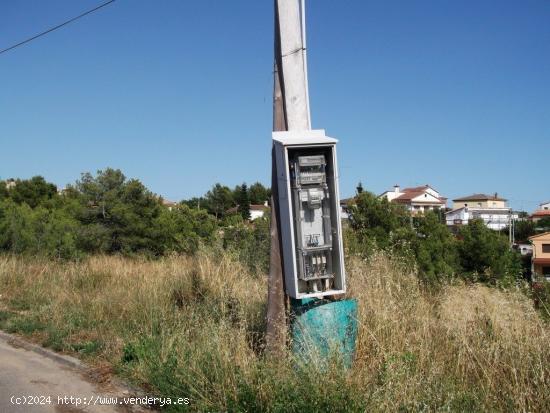  Terreno en la Bisbal del Penedés - TARRAGONA 