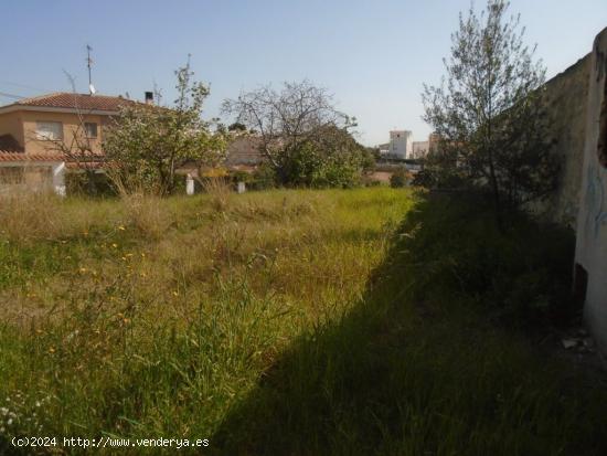 TERRENOS EN EL CENTRO DE CUNIT - TARRAGONA